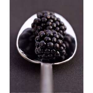 Blackberries & Spoon by Martina Schindler 9x12 
