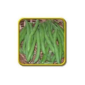  Harvester   Jumbo Green Bean Seed Packet (140) Patio 