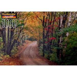  Kodacolor Puzzles 1000 Blue State Park Toys & Games