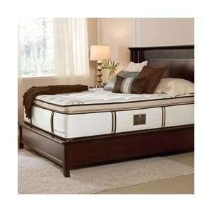   Springbrook Luxury Firm Euro Pillow Top mattress Queen