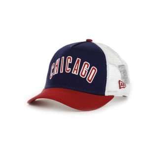 Chicago Cubs New Era MLB Team Fresh Cap 