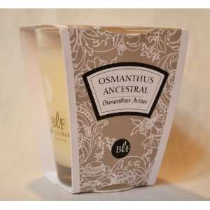  Bougies La Francaise Sweet Osmanthus scented ivory candle 