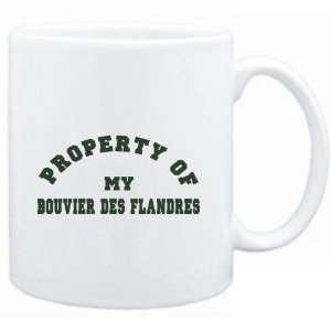  White  PROPERTY OF MY Bouvier Des Flandres  Dogs