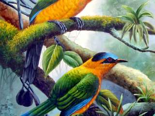 HQ Oil Painting *Long tailed Tropical Birds I* 24x36  
