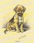 border terrier puppy matted dog print lucy dawson expedited shipping 