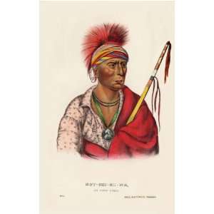  NOT CHE MI NE, an loway Chief McKenney Hall Indian Print 