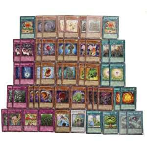  Yugioh 5Ds Synchro Queen OF Thorns Plant Deck 50 Card 