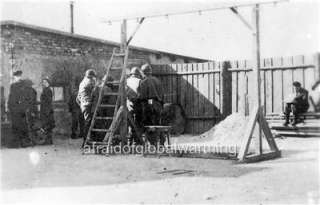 Photo 1945 Liberation Buchenwald Hanging Gallows  