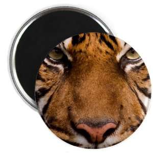  2.25 Magnet Sumatran Tiger Face 