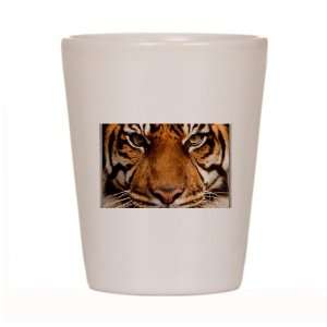 Shot Glass White of Sumatran Tiger Face 