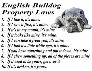 ENGLISH BULLDOG BREED PROPERTY LAWS OF THE DOG T SHIRT  