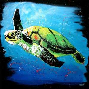  Splash Animals® Green Sea Turtle   Gallery Wrapped Print 