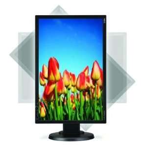  NEC Display Solutions MultiSync E222W 22inch Widescreen 