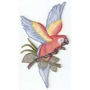   Bird/ Iron On Embroidered Applique/Birds, Tropical 