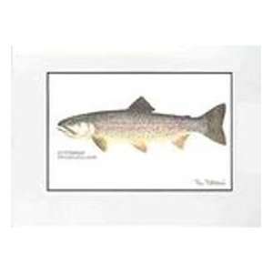    Cutthroat Trout Matted Print By Ron Pittard