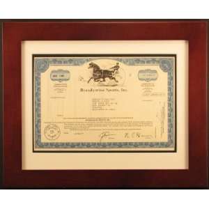  Framed Brandywine Sports, Inc. Stock Certificate 