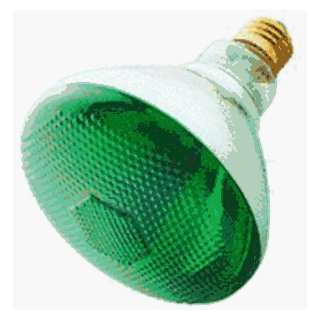   100W Green Fl 2pk Holiday model number 04402 WHL
