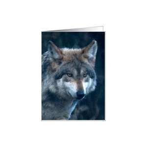  Mexican Grey Wolf   blank inside Card Health & Personal 