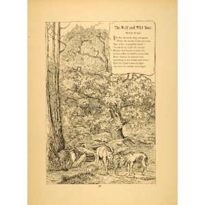  1879 Print Wolf Wild Boar Forest Friedrich Froebel 