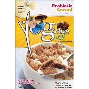 YogActive Junior   Choco Hazelnut Grocery & Gourmet Food