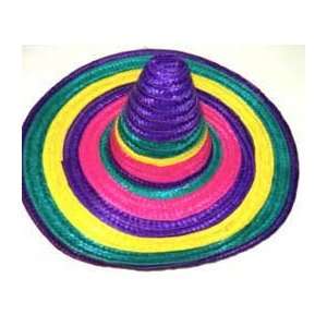  Adult Rainbow Sombrero 