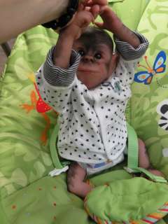 ChAz BaBy ChiMpAnZeE CoMpLeTe Kit For Reborn♥~♥  