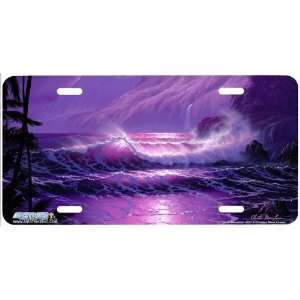  Beach scene License Plates Car Auto Novelty Front Tag by Christian 