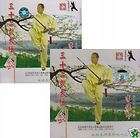 32 Forms Tai Chi Sword 2VCD (DVD) Li Deyin Tai Ji Quan