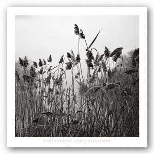  Prospect Lake Grasses by Henri Silberman 27 1/2x27 1/2 