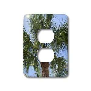   Sabal Palm   Light Switch Covers   2 plug outlet cover Home