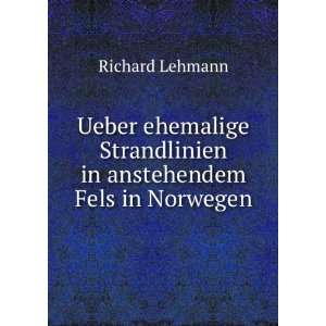   Strandlinien in anstehendem Fels in Norwegen Richard Lehmann Books