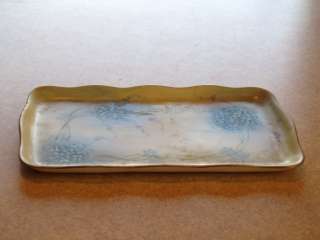 RS Prussia Tillowitz Silesia Hand Painted Rectangle Dresser Tray Dish 