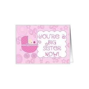  Youre a Big Sister Now  New Baby Girl/Sister Card Health 