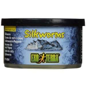  Exo Terra Medium Silkworms   1.2 oz (Quantity of 6 