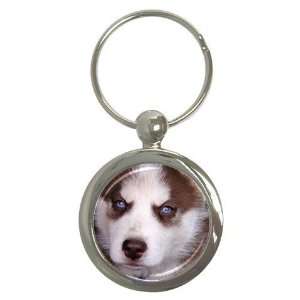  Siberian Husky Puppy Dog 17 Round Key Chain AA0631 