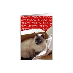  Siamese Cat in Box, Blank Note Card Card Health 