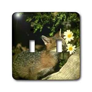  Wild animals   Gray Fox   Light Switch Covers   double 