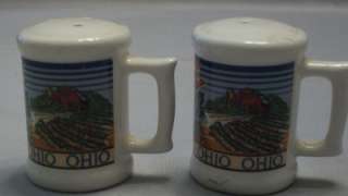 Ohio Souvenir Salt And Pepper Shakers  