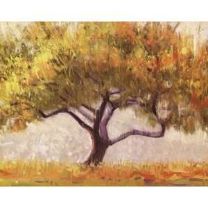  Shirley Novak   Apricot Tree Canvas