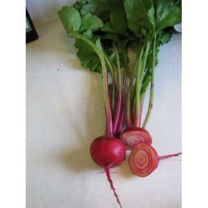  Chioggia Beet Patio, Lawn & Garden