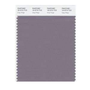  PANTONE SMART 18 3710X Color Swatch Card, Gray Ridge