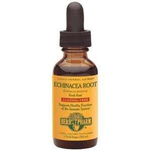  Echinacea Glycerite Drops Alcohol Free 1 oz from Herb 