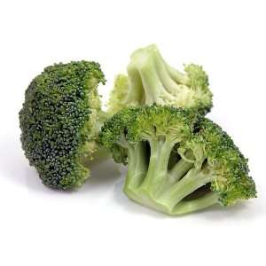  Premium Crop Broccoli 48 Plants   Great Yields & Taste 