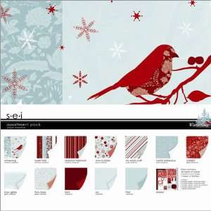   Winter Song Assortment Pack (25 pieces) by SEI Arts, Crafts & Sewing
