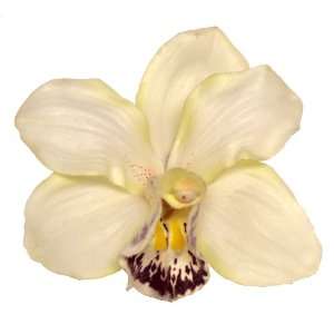 Cymbidium Orchid Artificial Flower Pin Brooch, Cream Color