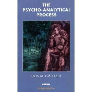 The Psycho Analytical Process (Harris Meltzer Trust Series) [Paperback 