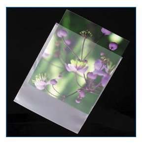  High Density Poly Envelopes   2.75x9.625   Package of 