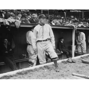  1910 Dahlan, Brooklyn baseball player
