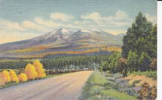 San Francisco Peaks Flagstaff AZ vintage linen Postcard  