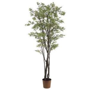  Pack of 2 Decorative Japanese Maple Trees with Round Pots 